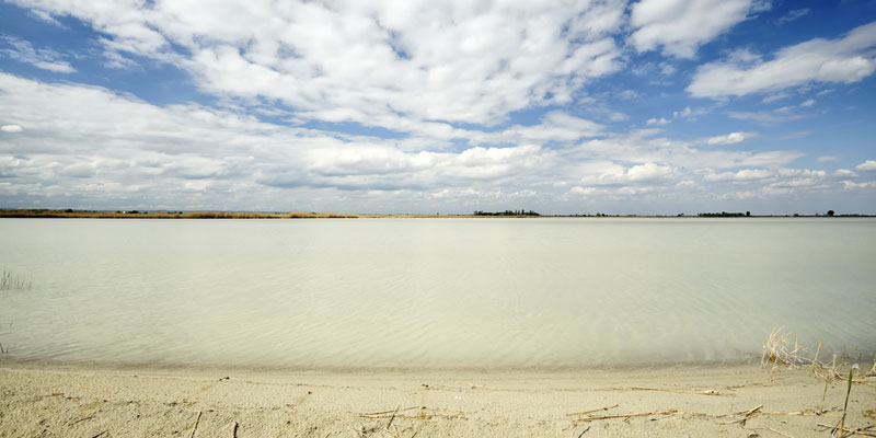 Graurind und Blaufränkischem